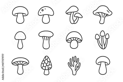 Mushroom line icon set. Fungus outline signs for graphic and web design, apps. Various fungi types, champignon, porcini, morel, chanterelle. Vector pictogram illustration.
