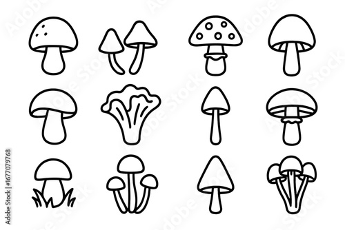 Mushroom line icon pack. Fungi outline symbol set. Mycology, botany elements. Simple linear pictograms for web, graphic design, apps. Edible, poisonous forest fungus.