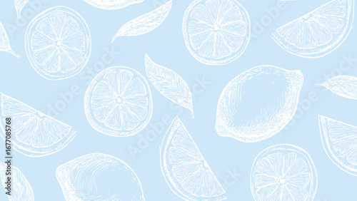 White pattern on blue background, food wallpaper. Vintage drawing cut lemon sketch pattern. 