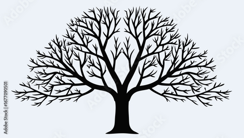 Illustration of a bare tree with many branches and a thick trunk against a white background design art
