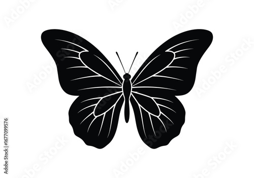 Elegant black butterfly silhouette with detailed wing patterns and antennae
