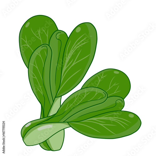 Watercolor splash of bok choy, isolated on a white background