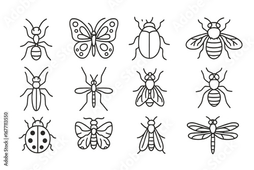 Insect outline icon collection. Bug and wildlife illustration set. Ant, butterfly, beetle, bee, mosquito, fly, ladybug, dragonfly vector symbols. Editable stroke line art.