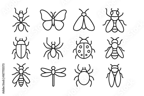 Insect and bug line icon set. Vector collection of simple animal outlines like ant, butterfly, bee, spider, ladybug, dragonfly. Minimalist pictogram symbols with editable stroke.