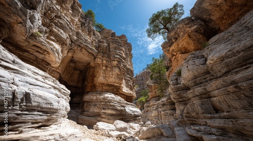 Wallpaper Mural A narrow canyon gorge, showcasing sculpted rock formations under a bright sunny sky. Torontodigital.ca