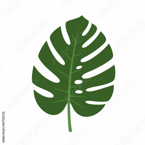 Vector illustration of a single green Monstera deliciosa leaf isolated on a white background. Tropical plant icon for botanical and nature designs