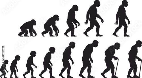 Evolution of man from ape to modern human and aging process, black and white silhouette illustration, human development timeline concept