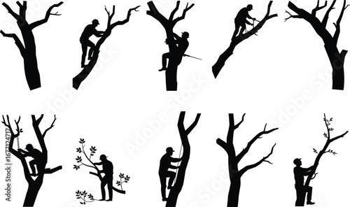 Set of arborist silhouettes climbing trees, tree cutting workers illustration, forestry maintenance graphic, black and white tree service artwork