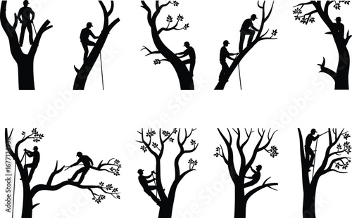 Set of arborist silhouettes climbing trees, tree cutting workers illustration, forestry maintenance graphic, black and white tree service artwork