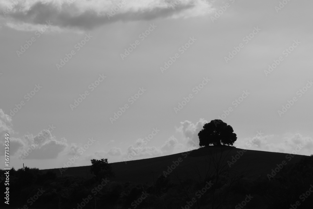 Fototapeta premium Scenes of Tuscany 2025