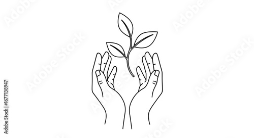 Hands holding a plant seedling, nurturing growth and environmental care in line art