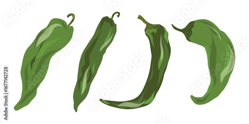 Green pepper clipart, Fresh green pepper set, Capsicum vector illustration