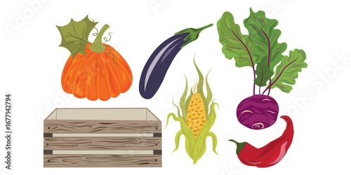 Farmer crate composition, Vegetable crate collection, Market produce composition
