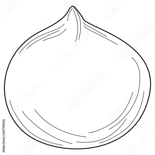 Vector outline illustration of shelled macadamia nut kernel, hand drawn style on white background