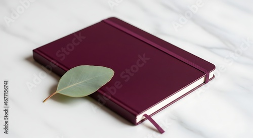 Elegant burgundy journal with a fresh eucalyptus leaf on a marble background, perfect for notes and reflection