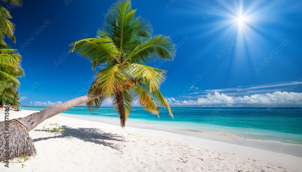 Fototapeta premium sun drenched coconut palm leaning over white sand beach exotic beautiful
