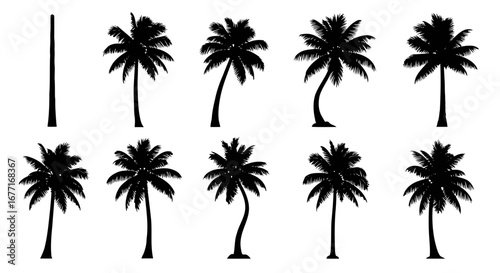 Vector illustration of collection of palm tree silhouettes