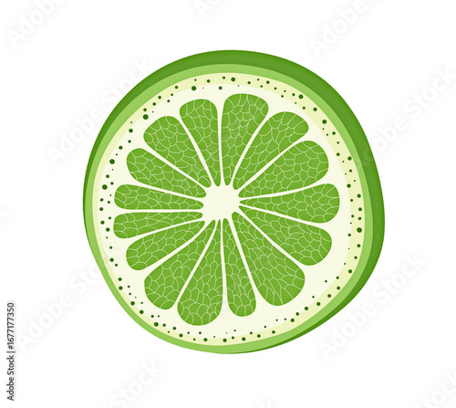 slice of lime isolated texture background png
