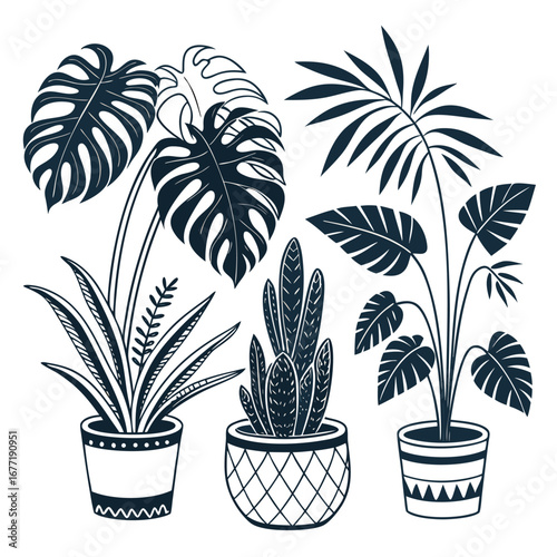 Diverse potted houseplants in a dark teal flat illustration style potted plant monstera