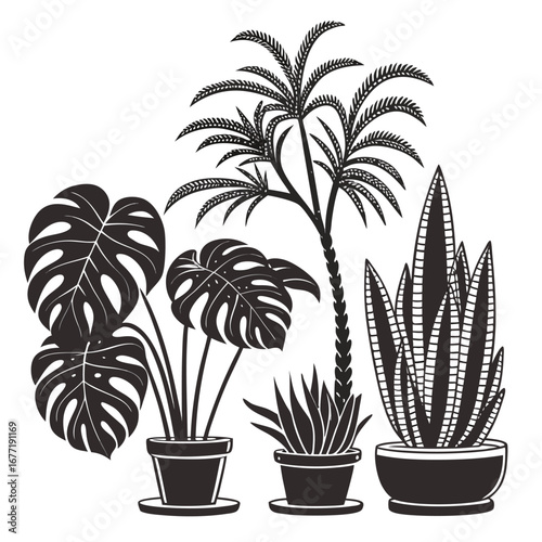 Silhouette collection of potted houseplants including monstera and palm potted plant palm tree