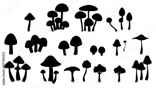 Black and white silhouette illustration of various types of mushrooms in different arrangements created with generated ai