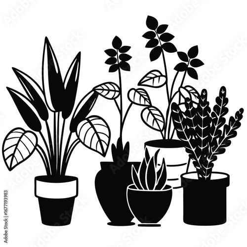 Collection of Houseplants in Pots Black and White Vector Illustration potted plants indoor plants