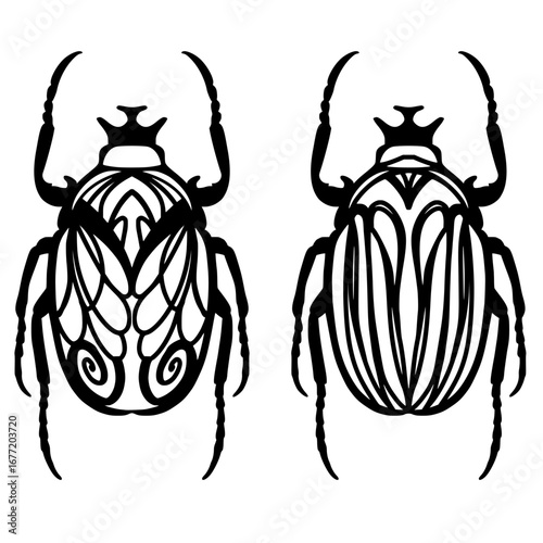 Beetle bug tattoo design. Hard drawing vintage engraving.