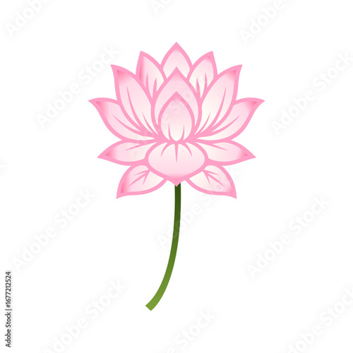 Lotus Flower