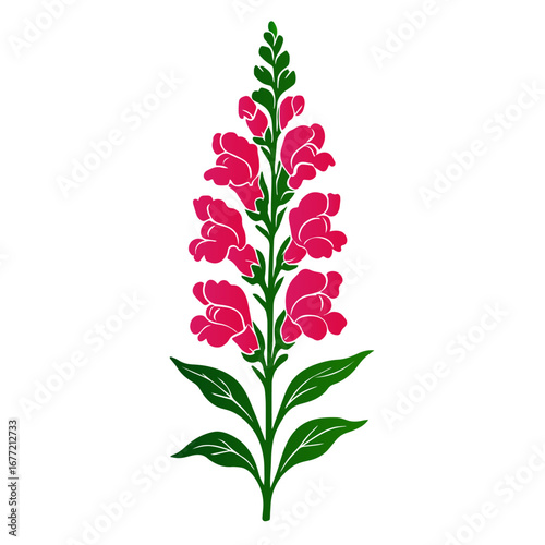 Snapdragon Flower