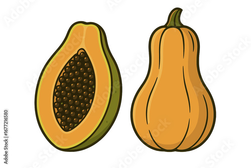 Minimalist vector illustration of papaya and butternut squash with distinct shapes and textures, vibrant cartoon style fruit and vegetable clipart with transparent background