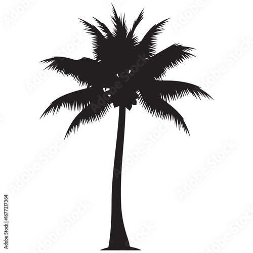 Tropical Palm Tree Silhouette on White Background
