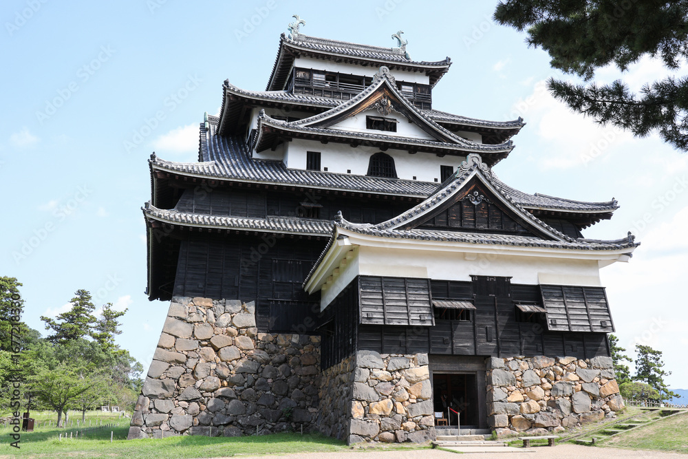 Fototapeta premium 松江城