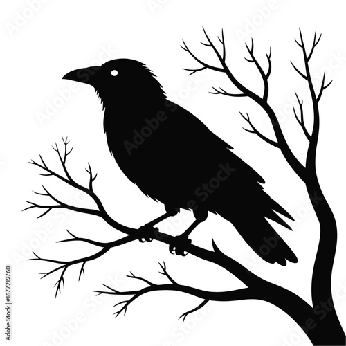 Mysterious crow silhouette perched on bare tree branches for spooky or gothic themes