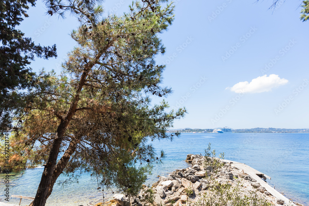 Fototapeta premium Scenic Mediterranean rocky coastline featuring a large pine tree, crystal clear turquoise water, stone formations, and peaceful natural setting.