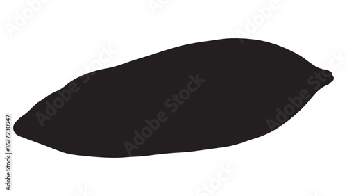 Isolated Black Silhouette of a Root Vegetable