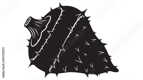 Black Silhouette Illustration of a Prickly Seed Pod with Sharp Spikes