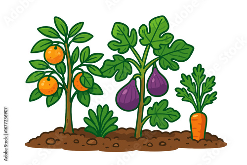 Garden patch illustration with orange tree, fig plant, and carrot growing. Vector cartoon of fresh organic fruit and vegetable harvest. Healthy food, farming, agriculture concept.