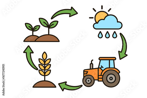Agriculture cycle infographic with icons. Farm process from planting, growth to harvest. Tractor, crop, weather symbols. Farming production stages vector cartoon illustration.
