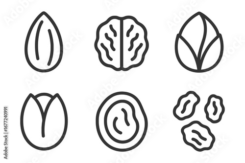 A series of six different types of nuts and seeds. The nuts and seeds are shown in a black and white style. vector