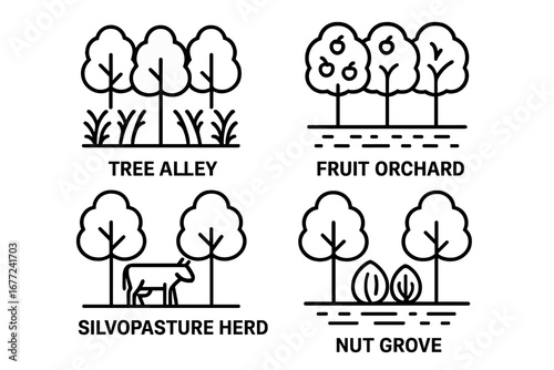 Agroforestry outline icon set. Sustainable farming and agriculture concept. Vector icons for tree alley, fruit orchard, silvopasture herd, and nut grove integration systems.