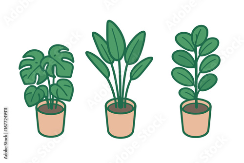 Indoor plant icon set. Isometric flat design vector illustration of tropical potted houseplants. Monstera deliciosa, bird of paradise, fiddle leaf fig for home decor concepts.