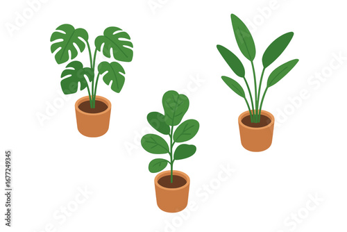 Indoor plant icon set in isometric flat design. Vector illustration of tropical potted plants like monstera deliciosa, bird of paradise, and fiddle leaf for home decor.
