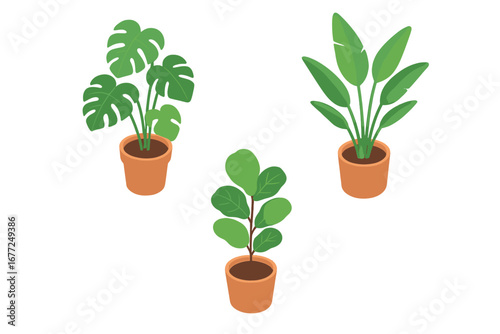 Isometric indoor plant icon set. Potted tropical houseplants collection with monstera, bird of paradise, fiddle leaf fig. Vector illustration for home decor and interior design.