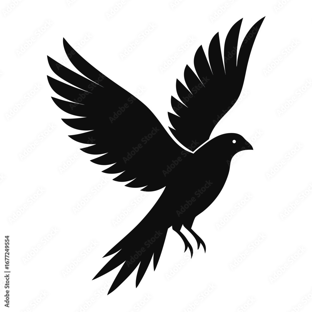Fototapeta premium Black silhouette of a bird with wings spread wide in flight on white background flying