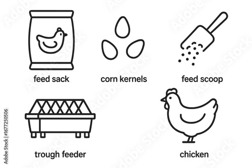 Poultry Feeding Routine Icons Set, Outline Vector Illustration of Chicken Feed Sack, Corn Kernels, Feed Scoop, Trough Feeder and Chicken Silhouette for Farm and Animal Care Design