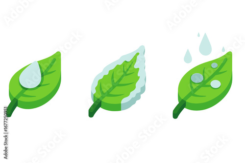 Isometric leaf icon set showing weather seasons. Green plant icons with dew water drop, ice frost, and raindrops. Ecology nature vector concept for web, app, design.