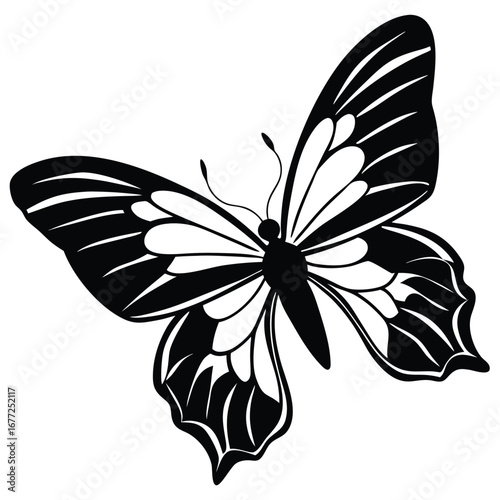 Black silhouette of a butterfly with patterned wings on a white background Keywords: butterfly, insect
