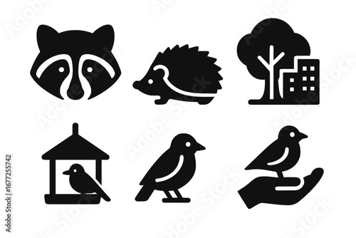 Urban wildlife solid icon set. Raccoon, hedgehog, bird feeder, city park tree, and animal care symbols. Vector graphic elements for nature conservation and ecology design.