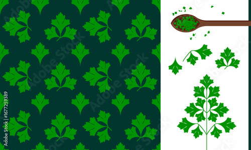Parsley herb seamless pattern with detailed illustration