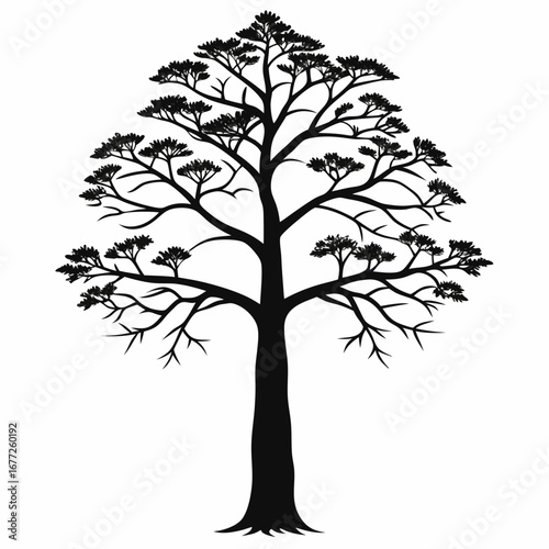 Black Silhouette of a Tree with Small Blossoms or Buds on White Background branches